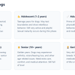 Senior Dog Care: Essential Tips for Aging Pets