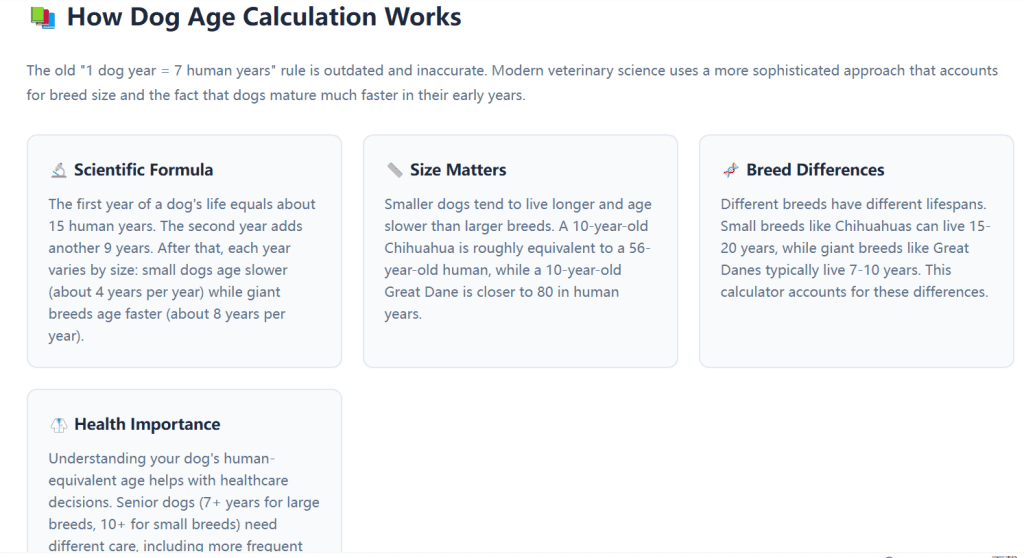 How Dog Age Calculation Works
