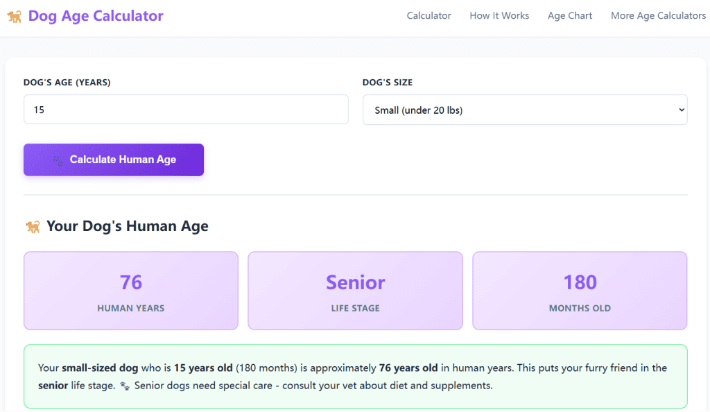 The Science Behind Dog Aging: Understanding Canine Longevity